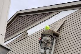 Affordable Siding Repair and Maintenance Services in Cape Coral, FL